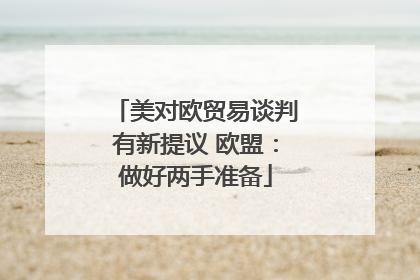美对欧贸易谈判有新提议 欧盟：做好两手准备