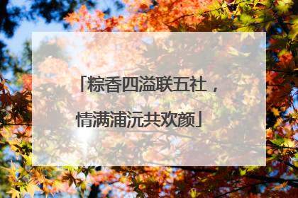 粽香四溢联五社，情满浦沅共欢颜
