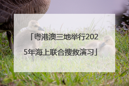 粤港澳三地举行2025年海上联合搜救演习