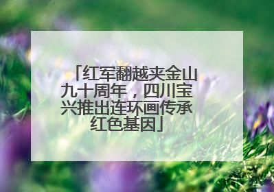 红军翻越夹金山九十周年，四川宝兴推出连环画传承红色基因