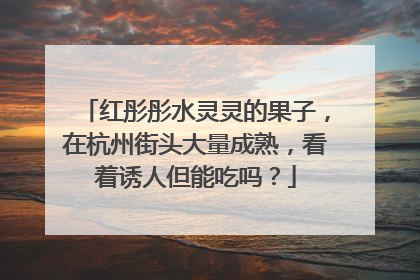 红彤彤水灵灵的果子，在杭州街头大量成熟，看着诱人但能吃吗？