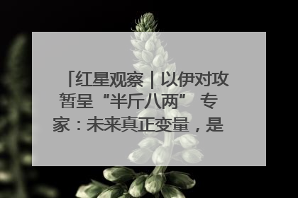 红星观察｜以伊对攻暂呈“半斤八两” 专家：未来真正变量，是美国是否进一步介入