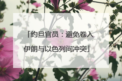 约旦官员：避免卷入伊朗与以色列间冲突