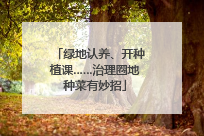 绿地认养、开种植课……治理圈地种菜有妙招