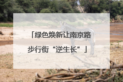 绿色焕新让南京路步行街“逆生长”