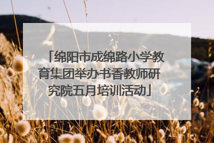 绵阳市成绵路小学教育集团举办书香教师研究院五月培训活动