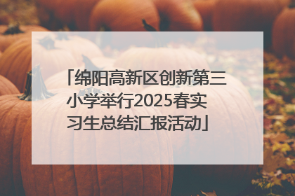绵阳高新区创新第三小学举行2025春实习生总结汇报活动