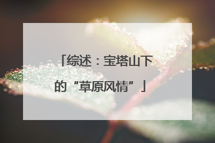 综述：宝塔山下的“草原风情”