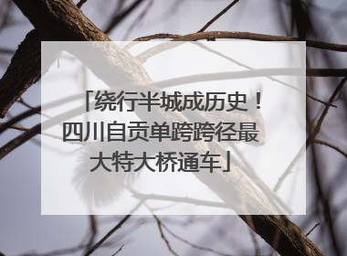 绕行半城成历史！四川自贡单跨跨径最大特大桥通车