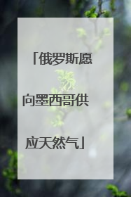 俄罗斯愿向墨西哥供应天然气