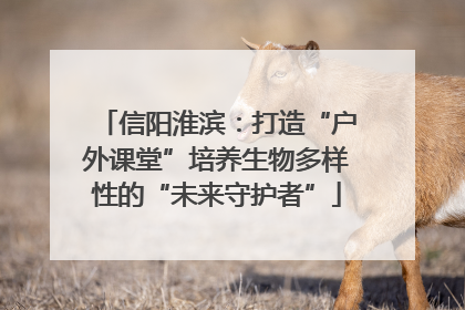 信阳淮滨：打造“户外课堂”培养生物多样性的“未来守护者”