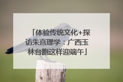 体验传统文化+探访朱熹理学：广西玉林台胞这样迎端午