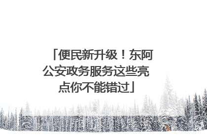 便民新升级！东阿公安政务服务这些亮点你不能错过