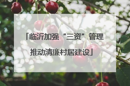 临沂加强“三资”管理 推动清廉村居建设