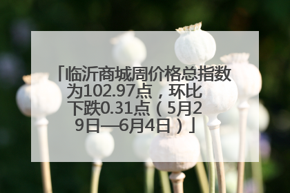临沂商城周价格总指数为102.97点，环比下跌0.31点（5月29日—6月4日）