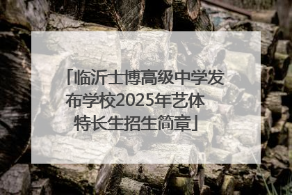 临沂士博高级中学发布学校2025年艺体特长生招生简章