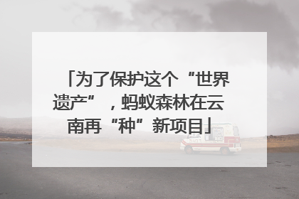 为了保护这个“世界遗产”，蚂蚁森林在云南再“种”新项目