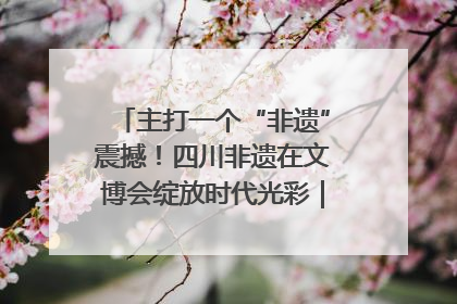 主打一个“非遗”震撼！四川非遗在文博会绽放时代光彩｜文博向“新”