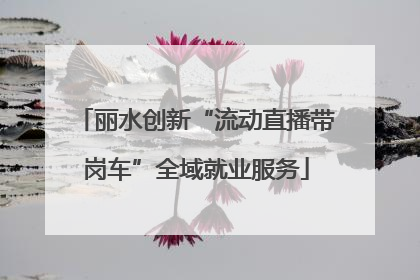 丽水创新“流动直播带岗车”全域就业服务