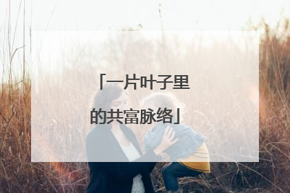 一片叶子里的共富脉络