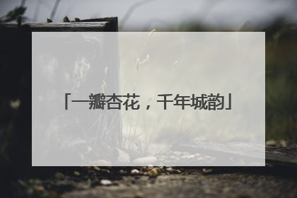 一瓣杏花，千年城韵
