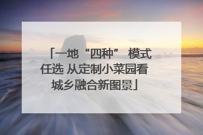 一地“四种” 模式任选 从定制小菜园看城乡融合新图景