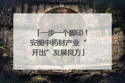 一步一个脚印！安图中药材产业“开出”发展良方