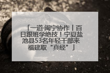 一道·闽宁协作丨百日跟班学绝技！宁夏盐池县53名年轻干部来福建取“真经”