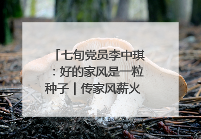 七旬党员李中琪：好的家风是一粒种子｜传家风薪火 颂家国情深