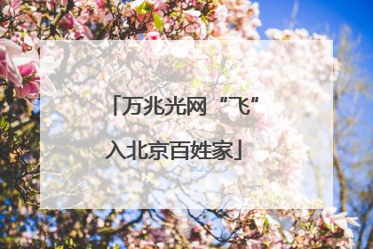 万兆光网“飞”入北京百姓家