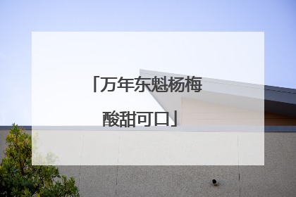 万年东魁杨梅 酸甜可口