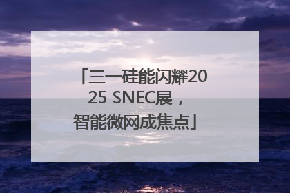 三一硅能闪耀2025 SNEC展，智能微网成焦点