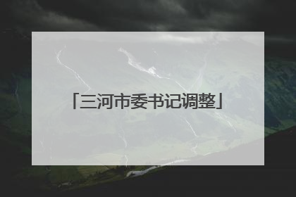 三河市委书记调整