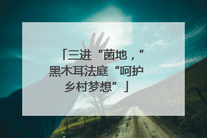 三进“菌地，”黑木耳法庭“呵护乡村梦想”