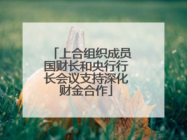 上合组织成员国财长和央行行长会议支持深化财金合作