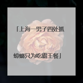 上海一男子四处抓蟑螂只为吃霸王餐