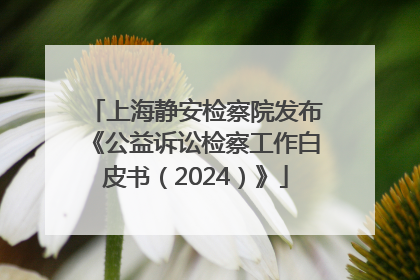 上海静安检察院发布《公益诉讼检察工作白皮书（2024）》