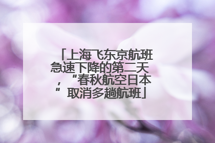 上海飞东京航班急速下降的第二天，“春秋航空日本”取消多趟航班