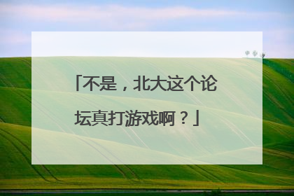 不是，北大这个论坛真打游戏啊？