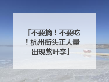不要摘！不要吃！杭州街头正大量出现紫叶李