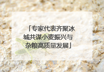专家代表齐聚冰城共谋小麦振兴与杂粮高质量发展
