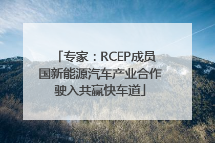 专家：RCEP成员国新能源汽车产业合作驶入共赢快车道