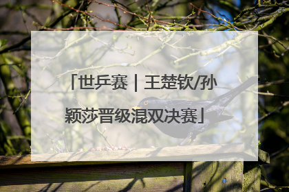 世乒赛｜王楚钦/孙颖莎晋级混双决赛