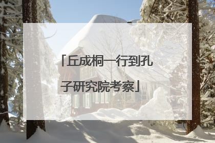 丘成桐一行到孔子研究院考察