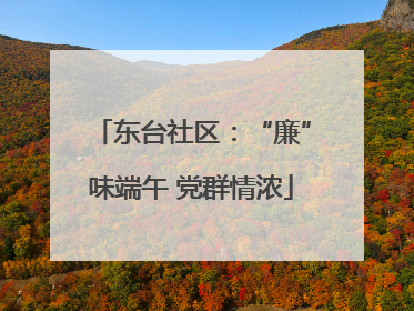 东台社区：“廉”味端午 党群情浓