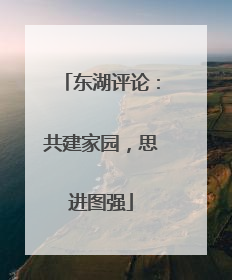 东湖评论：共建家园，思进图强