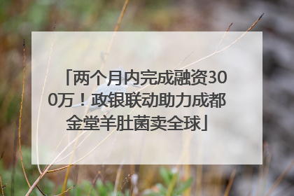 两个月内完成融资300万！政银联动助力成都金堂羊肚菌卖全球