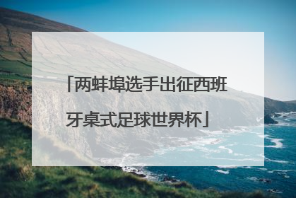 两蚌埠选手出征西班牙桌式足球世界杯