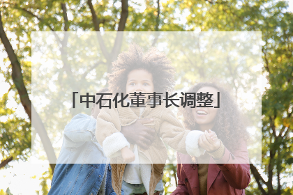中石化董事长调整