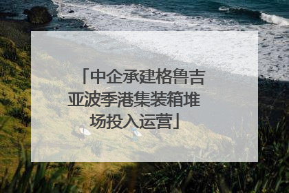 中企承建格鲁吉亚波季港集装箱堆场投入运营